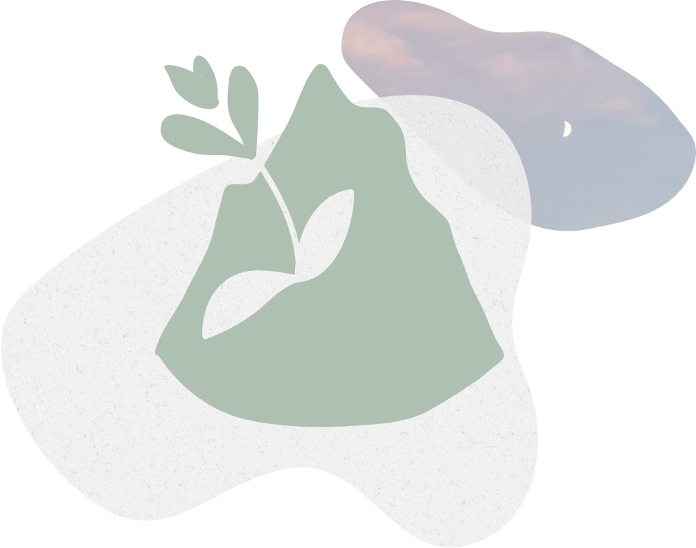 Illustration de la création d'identité du studio